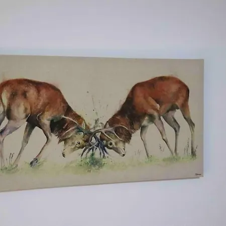 Unique 3 Bedroom House Free Wifi&parking Appartement