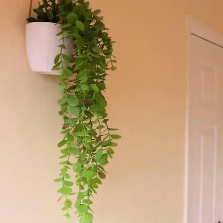 Unique 3 Bedroom House Free Wifi & Parking Appartement