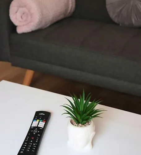 Unique 3 Bedroom House Free Wifi & Parking Apartment *