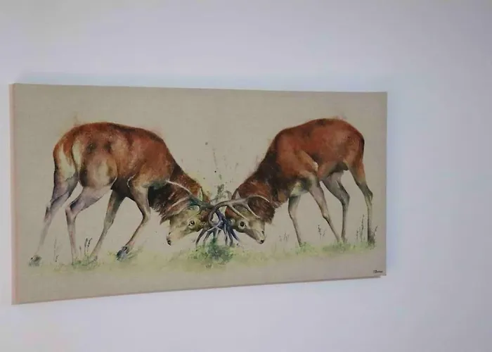 Unique 3 Bedroom House Free Wifi & Parking Appartamento